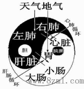 左肾位置高于右肾,高者为阳,低者为阴,在此意义上也是左为阳而右为阴.